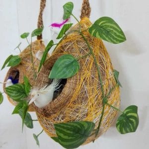 পাখির বাসা ( সাথে ঝুলানোর জন্য ১ পিস ওয়াল হুক)