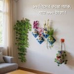 ১২ পিসের কম্বো প্যাকে আপনার বাসা কিংবা অফিস হোক আরো সুন্দর ও আকর্ষণীয়।