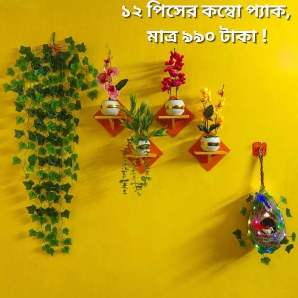 ১২ পিসের কম্বো প্যাকে আপনার বাসা কিংবা অফিস হোক আরো সুন্দর ও আকর্ষণীয়।