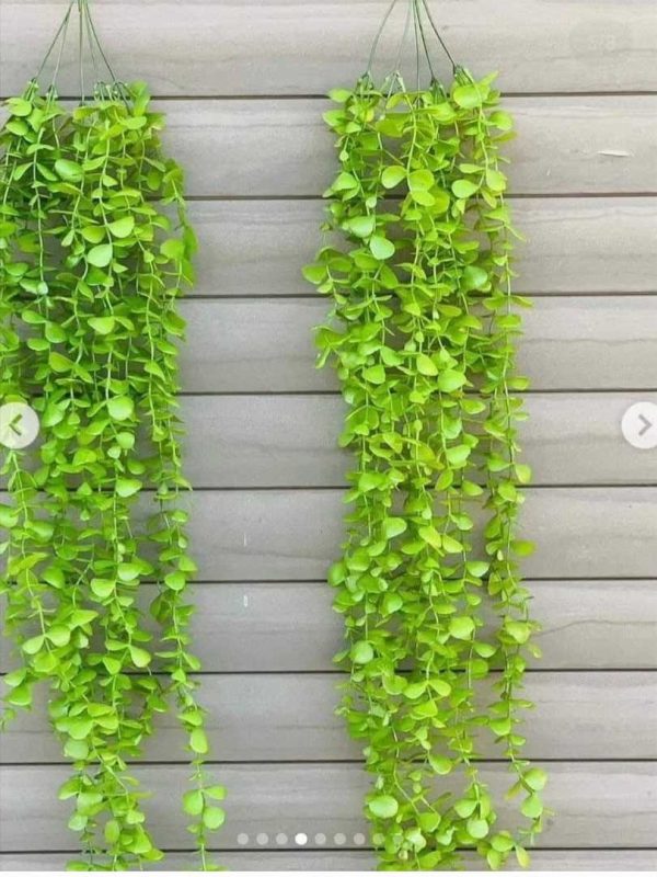 ৩ ফুট লম্বা লতা ঝাড়, সাথে ১ পিস হুক একদম ফ্রি ! ( L-2 )