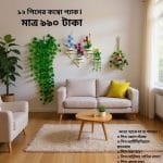 ১২ পিসের কম্বো প্যাকে আপনার বাসা কিংবা অফিস হোক আরো সুন্দর ও আকর্ষণীয়।