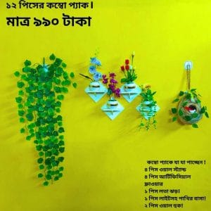 ১২ পিসের কম্বো প্যাকে আপনার বাসা কিংবা অফিস হোক আরো সুন্দর ও আকর্ষণীয়।