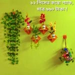 ১২ পিসের কম্বো প্যাকে আপনার বাসা কিংবা অফিস হোক আরো সুন্দর ও আকর্ষণীয়।