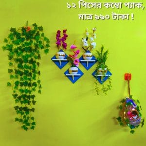 ১২ পিসের কম্বো প্যাকে আপনার বাসা কিংবা অফিস হোক আরো সুন্দর ও আকর্ষণীয়।