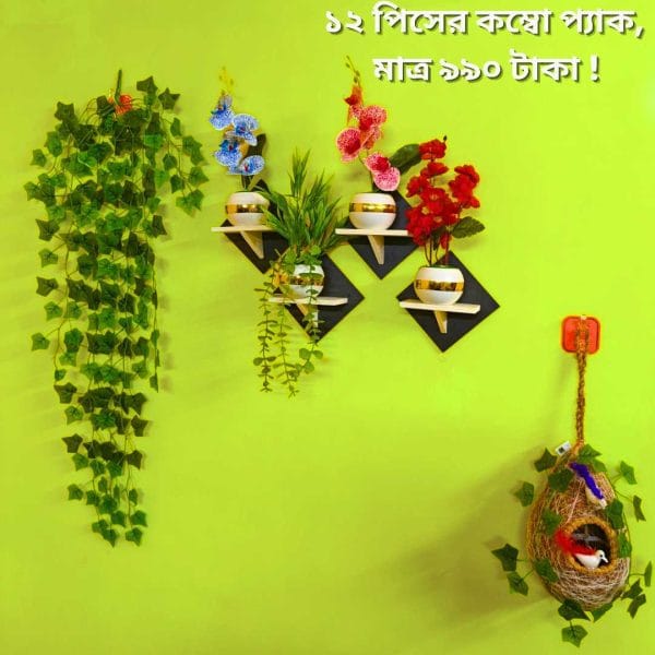 ১২ পিসের কম্বো প্যাকে আপনার বাসা কিংবা অফিস হোক আরো সুন্দর ও আকর্ষণীয়।
