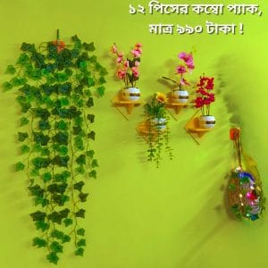 ১২ পিসের কম্বো প্যাকে আপনার বাসা কিংবা অফিস হোক আরো সুন্দর ও আকর্ষণীয়।