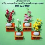 ৮ পিস টি শেফ কম্বো প্যাক ৪ পিস টি শেফ ওয়াল সেল্ফ এবং ৪ পিস ফুলসহ পাচ্ছেন। আঠালো সিস্টেম সহজে সেটিং করা যায়।